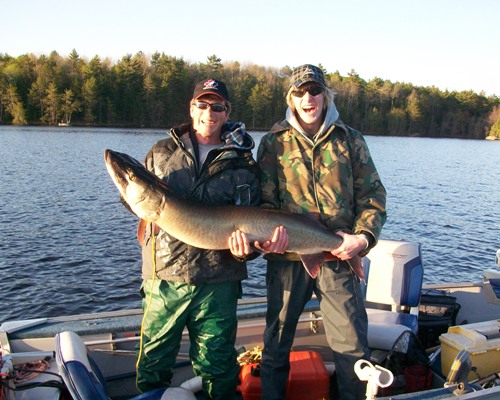 John's 5 foot muskie!